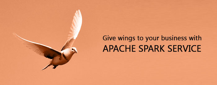 Apache Spark Services