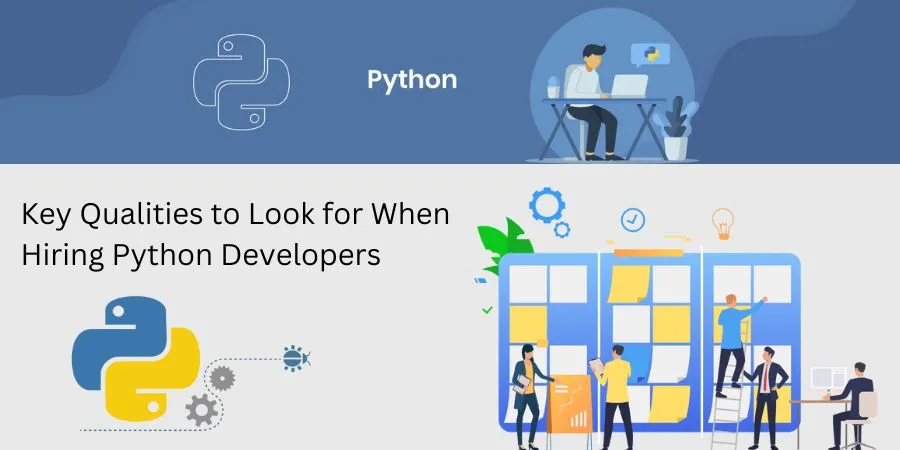 key qualities to look for when hiring python developers