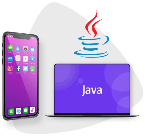 Java Development Company