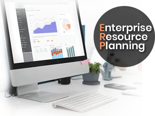 Microsoft Dynamics ERP Services