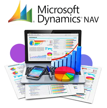 Microsoft Dynamics Navision Development