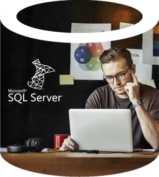 Expertise in SQL